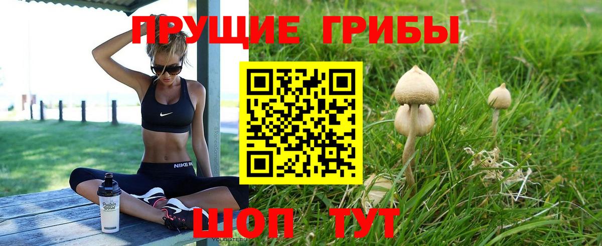 Псилоцибиновые грибы мицелий Топки